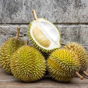 Sầu Riêng Ri 6 Chín Tự Nhiên (Ri 6/ Chín Cây/ 110 Ngày/ 100% Chín Tự Nhiên)